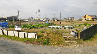 農園風景